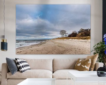 Groynes on the coast of the Baltic Sea in Ahrenshoop on Fischland-