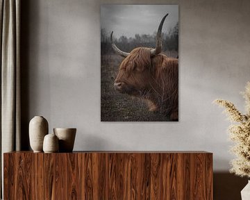 highlander