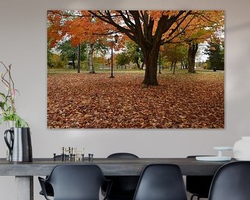 Un parc à l'automne sur Claude Laprise