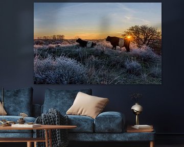 Cattle in the maturity of the dunes during sunrise by Remco Van Daalen