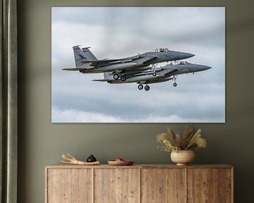 Twee F-15 Eagles van Oregon Air National Guard. van Jaap van den Berg