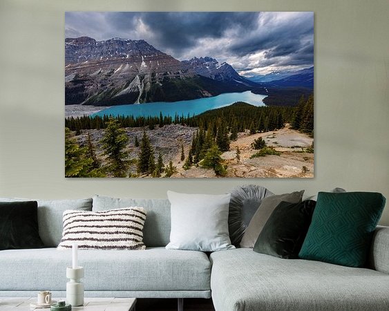 Aperçu de la chambre