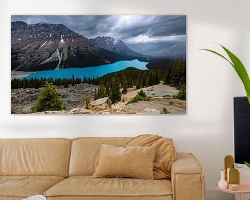 Lake Peyto in de Rocky Mountains van Roland Brack