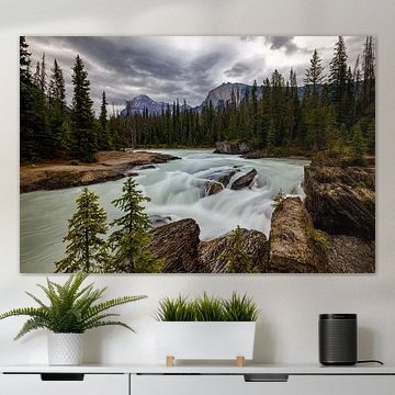 Der Kicking Horse River in Kanada