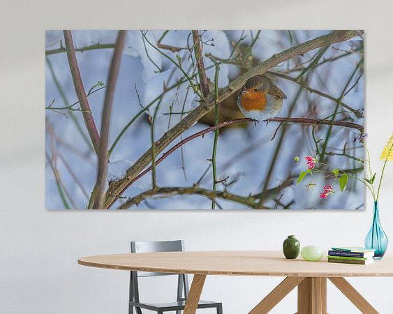 Aperçu de la chambre