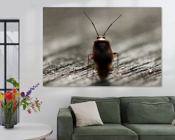 Aperçu de la chambre