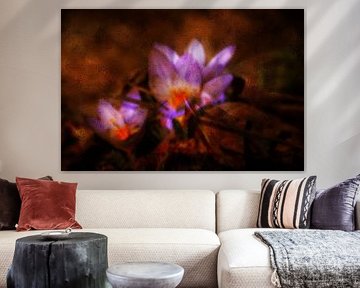 FLORE : CROCUS SOUS VERRE sur Photoart-Naegele