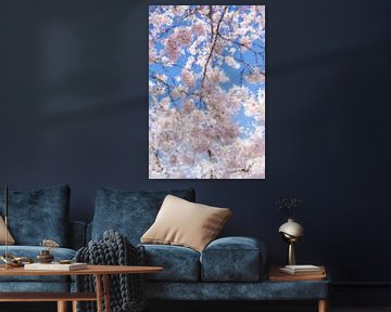 Sakura en fleurs dans un ciel bleu clair. sur WvH