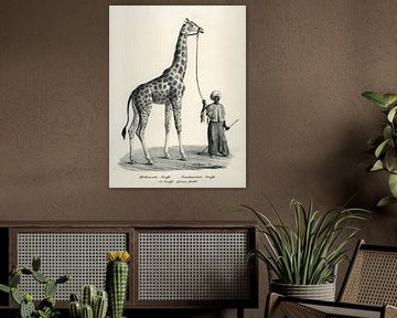 Afrikaanse Giraf van Liesbeth Govers voor OmdeWest.com