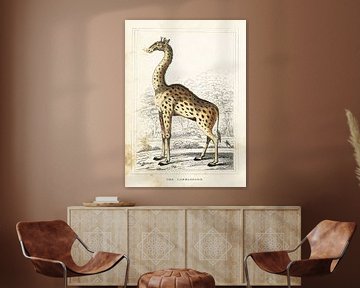 Giraffe, antieke tekening van Liesbeth Govers voor Santmedia.nl