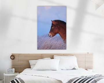 Portret van paard in winterlandschap van Remy de Wal