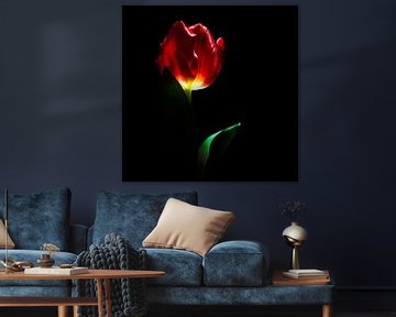 La tulipe avec style sur Simone Karis