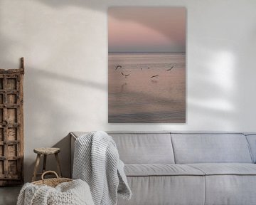Flying seagulls in a pink world by Joke van Veen