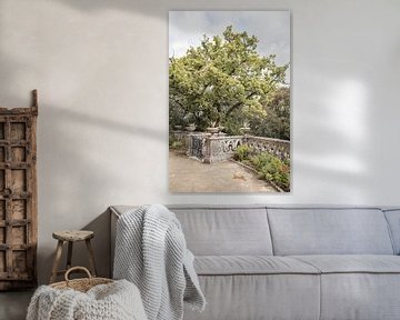 Botanische Tuin in Sintra - Fotografie in Portugal van Henrike Schenk