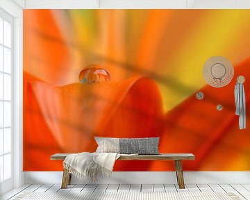 Lily by Violetta Honkisz