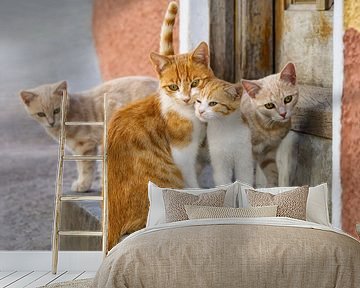 Schattige Kitten Familie van Katho Menden