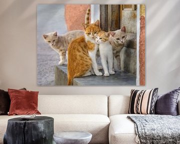 Schattige Kitten Familie van Katho Menden
