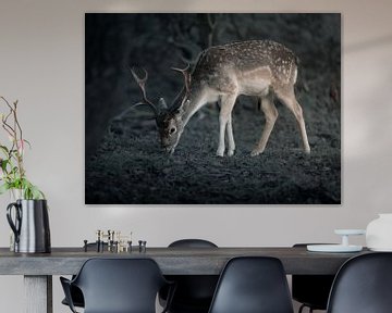 Fallow deer in evening light by Roy Kreeftenberg