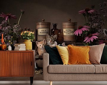 The best medicine by Elles Rijsdijk