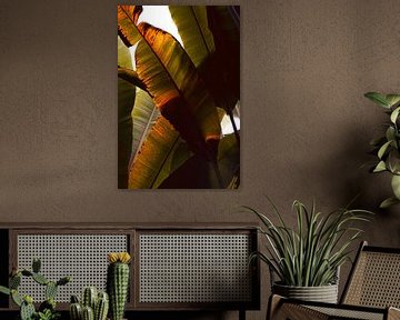 Jungle de feuilles de bananier avec une lueur dorée sur Denise Tiggelman