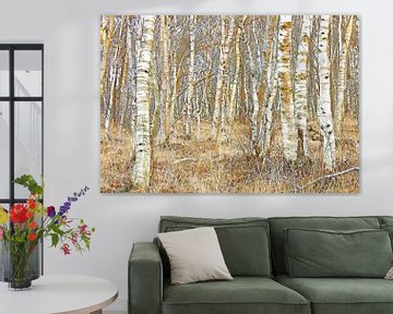 Birch forest by Caroline Lichthart