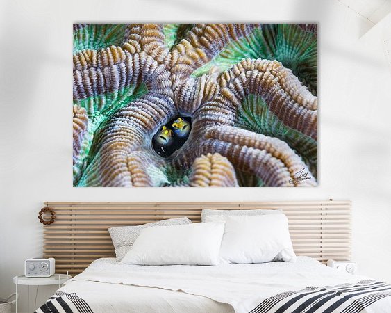 Aperçu de la chambre