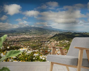 Panorama van Mirador de Jardina, Tenerife van Walter G. Allgöwer