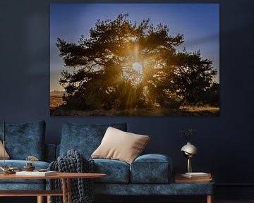 Sieh die Sonne durch den Baum scheinen von Anouk Peeters