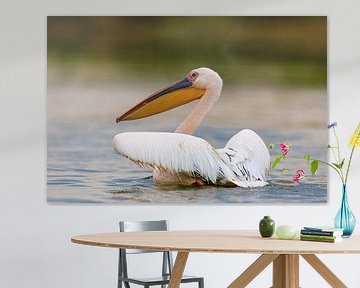 Pelikane im Donaudelta von Roland Brack