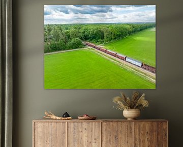 Old diesel freight train in the countryside by Sjoerd van der Wal