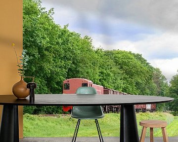 Old diesel freight train in the countryside by Sjoerd van der Wal Photography