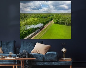 Stoomtrein met rook van de locomotief rijdt door het landschap van Sjoerd van der Wal Fotografie