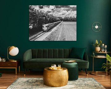 Old diesel freight train in the countryside by Sjoerd van der Wal