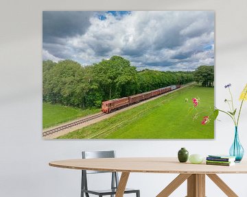 Oude diesel goederentrein op het platteland van Sjoerd van der Wal Fotografie