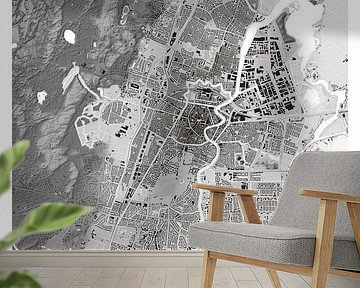 Height map Haarlem by STADSKAART