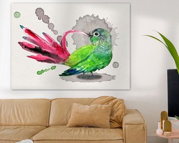 A green-cheeked conure preening its feathers by Bianca Wisseloo