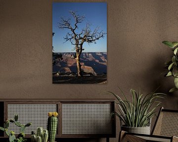 Grand Canyon dode boom in gouden uur van Wijgert IJlst