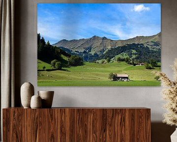 Groene oase van rust in de Zwitserse Alpen van Eefje's Images
