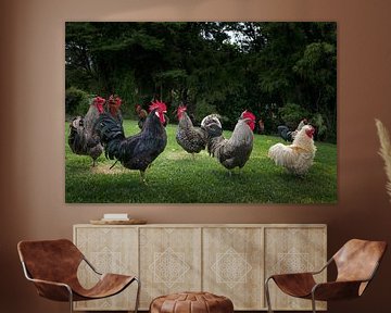 Group of curious roosters by Albert Brunsting