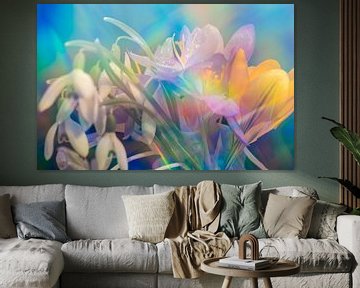 Lente bloemen, frisse dromen in rainbow soft touch kleuren van Jolanda de Jong-Jansen
