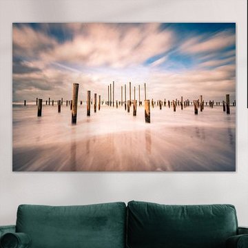 Palmendorf in Petten