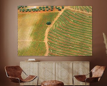 Line game vineyards by Inge Hogenbijl