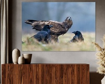 Bald eagle and raven by Rando Kromkamp
