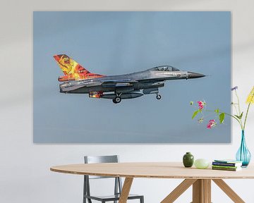 Dragon frison sur General Dynamics F-16 (J-871). sur Jaap van den Berg