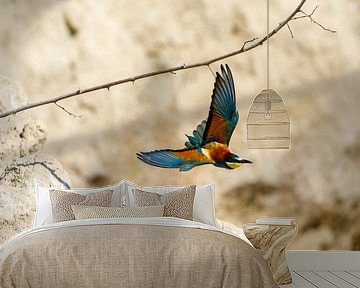 Bunte Bienenfresser