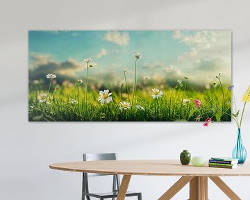 Bloemenweide in het voorjaar Illustratie van Animaflora PicsStock