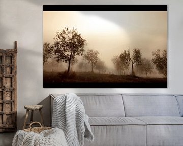 Olivenbäume im Nebel von Manuel Meewezen