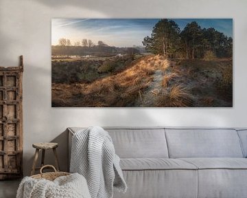 Dune landscape in Panorama (amsterdam water supply dunes) by Jolanda Aalbers