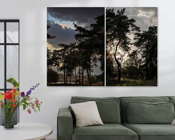 Aperçu de la chambre