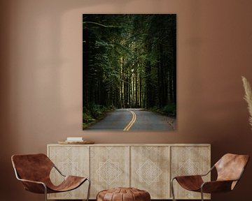 Winding roads through the rainforest by swc07